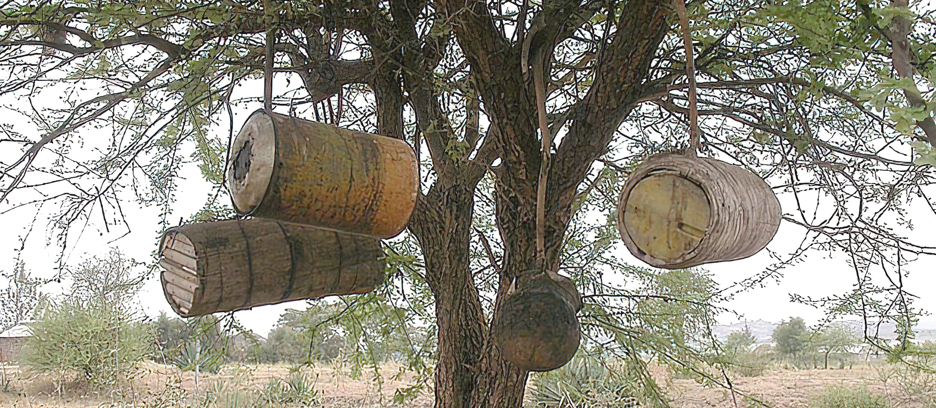 Nyanja ya Mazingira